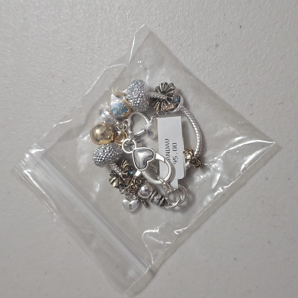 🆕️ Landau Charm Bracelet March